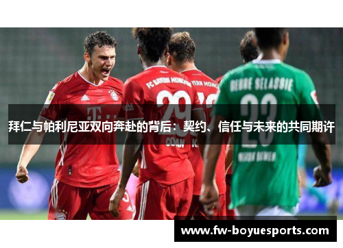 拜仁与帕利尼亚双向奔赴的背后：契约、信任与未来的共同期许