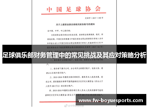 足球俱乐部财务管理中的常见挑战及其应对策略分析 足球俱乐部财务管理中的常见挑战及其应对策略分析