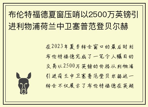 布伦特福德夏窗压哨以2500万英镑引进利物浦荷兰中卫塞普范登贝尔赫 布伦特福德夏窗压哨以2500万英镑引进利物浦荷兰中卫塞普范登贝尔赫
