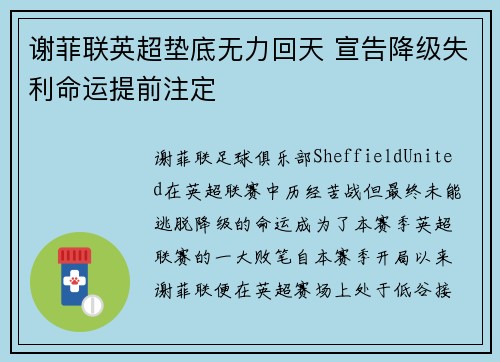 谢菲联英超垫底无力回天 宣告降级失利命运提前注定