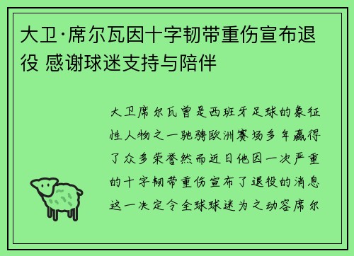 大卫·席尔瓦因十字韧带重伤宣布退役 感谢球迷支持与陪伴